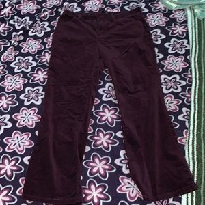 Velvet Flared Petite Pants